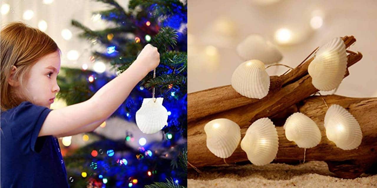 Best Seashell Ornaments